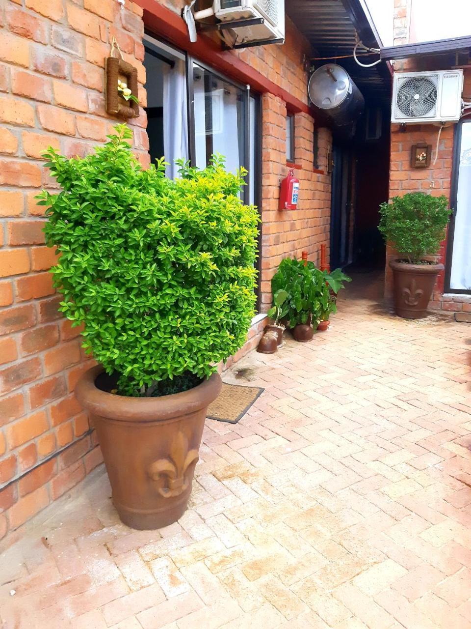 Niilo'S Guesthouse 龙杜 外观 照片